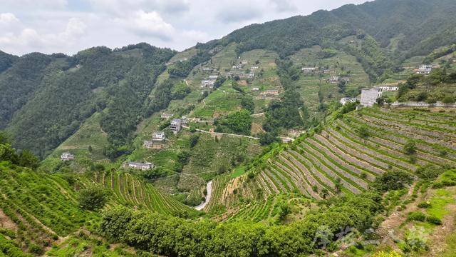 皖浙摩旅二人转——蜈蚣岭篇（下）