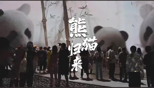 "天府之肺熊猫雅安"新媒体创作大赛获奖作品公布！