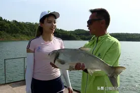 钓白鲢和钓花鲢的4个不同点，钓鲢鳙的秘密图片