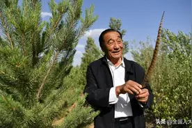 石光银：沙海里筑牢“绿色长城”图片