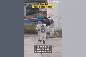 重达27斤！贵州毕节一篮球场旁现巨型马蜂窝，3名消防员拆除后抬走图片