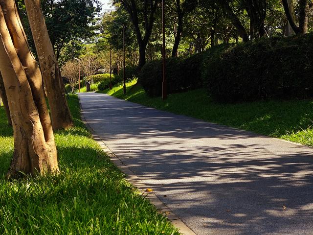 从学苑大道入大沙河绿过大学城后进深圳弯公园流花山景点【高清】