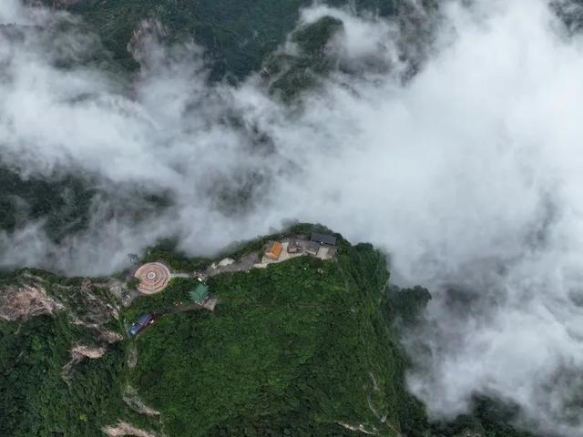 初秋神农山太绝了！龙脊穿云、白松摇曳，看不完的浪漫与惊喜！