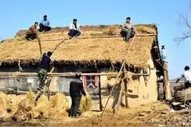 人民公社时候为什么粮食紧张不够吃？主要原因是大集体粮食产量低图片