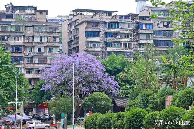 在泸州，我真的很羡慕住在老城区的人！