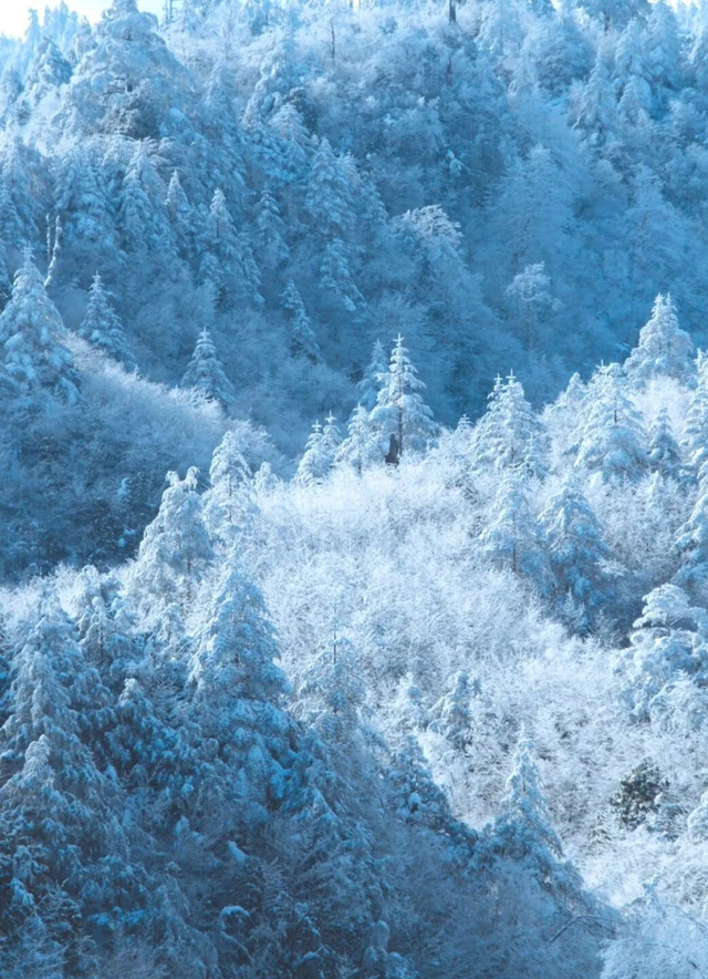 【雪景预告】看雪不必出远门！雅安的冬天超超超美！