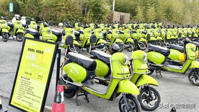 郁金香高地春日游玩攻略，赏花遛娃逛吃玩一站式搞定，速码！