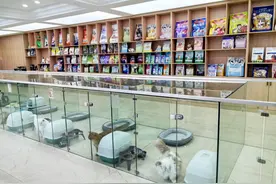 行进中国｜山东平度：小萌宠崛起新赛道图片