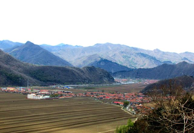 闻名省内外的“本溪地区最大的野生映山红花海”即将迎来观赏季