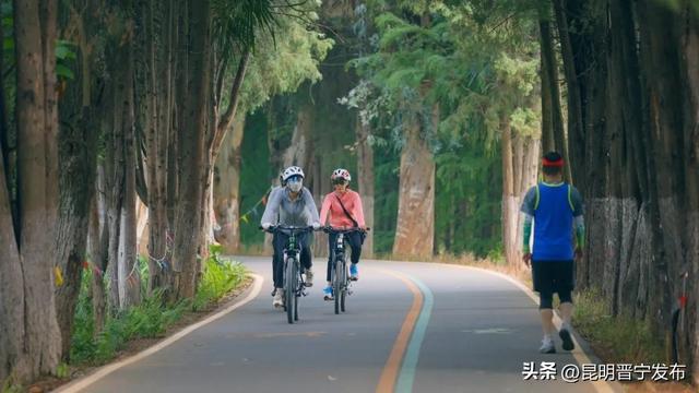 赏美景、尝美食……公交专线带您畅游晋宁