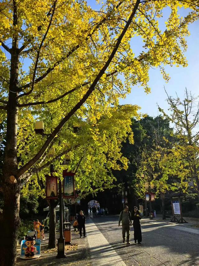 封神级美景!初冬的桂林,宛如上帝打翻的调色盘