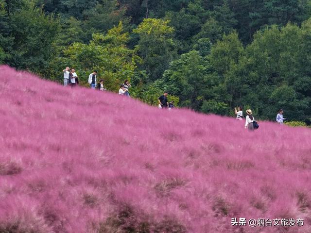 【乐游烟台】别再等了！此刻烟台昆嵛山秋色正浓