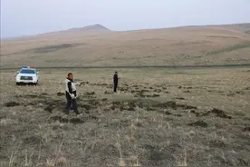 2人盗挖野生药材！被锡盟警方拘留！图片