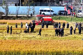 雷沃谷神履带机2025款新品体验会启动图片