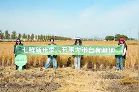 热卖爆款背后的秘密：京东七鲜自有品牌如何赢得消费者信赖？图片