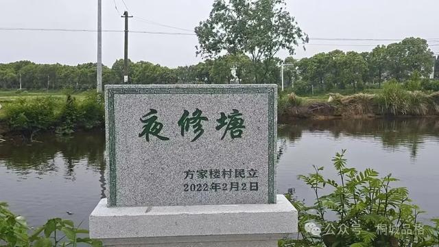 乡土桐城 | 夜修塘游记:一塘月光,照见桐城人的千年心气