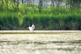 推荐收藏！请收下这份郑州公交市内游玩攻略～图片