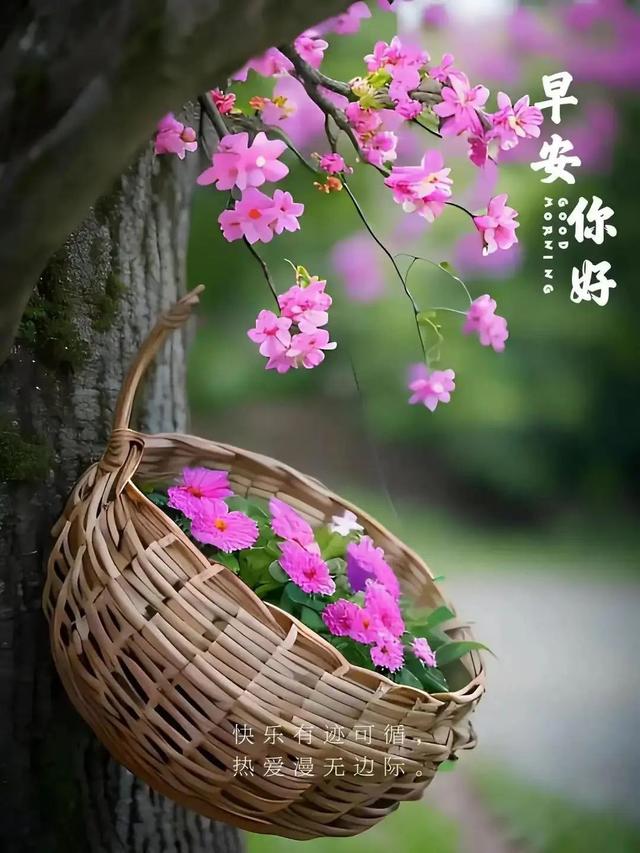 每日100句吉祥祝福语，最美的问候语大全，祝福朋友们快乐吉祥