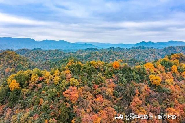 超期待！汉中黎坪红叶季即将开启，剧透一波 “红” 到心巴的美景！