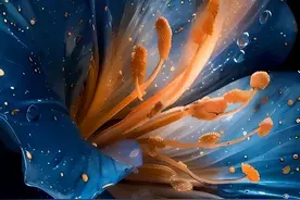 精选暗黑系高质感壁纸｜高清4k图片