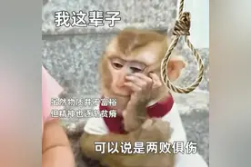 积极应对，攒钱为王图片