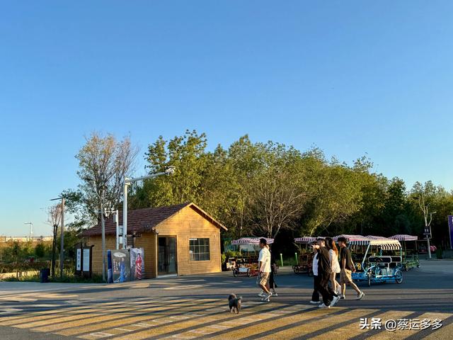 寻觅记忆中的青格达湖