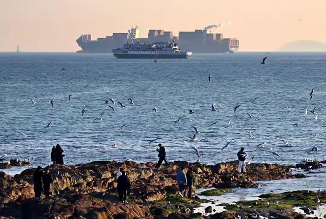 鸥鸣伴潮生：青岛栈桥的冬日限定浪漫