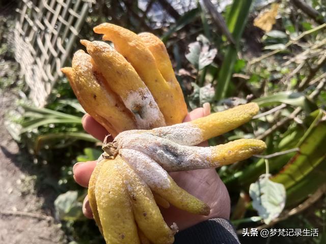 我妈安排的事是我支持的我就会满心欢喜地去做，不支持的就很反感