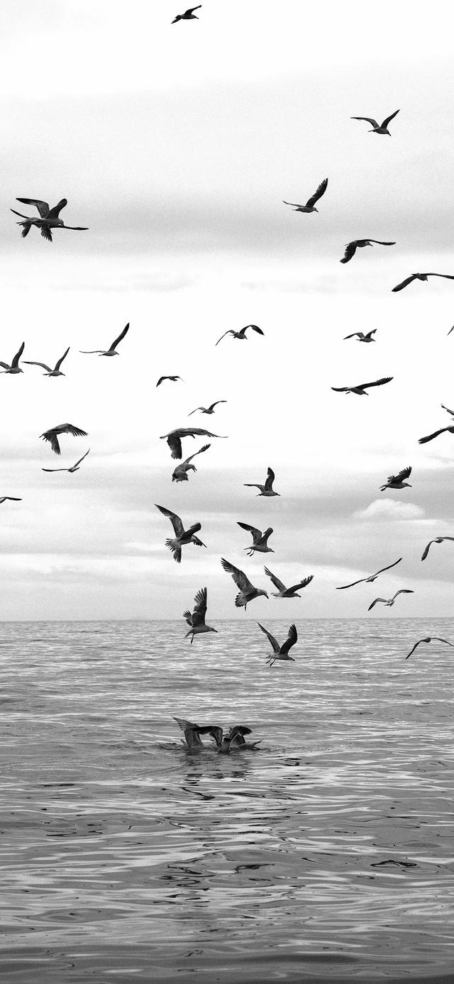 壁纸| 日有小暖，岁有小安