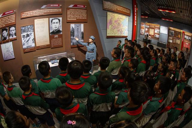山东乐陵：千年枣林激发文旅融合发展新活力