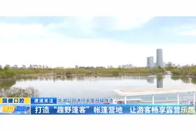 北湖公园进行全面升级改造：打造“趣野篷客”帐篷营地 让游客畅享露营乐趣图片