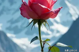 别人怎么对你，你就怎么对别人！10句生活很难，只想被哄着图片