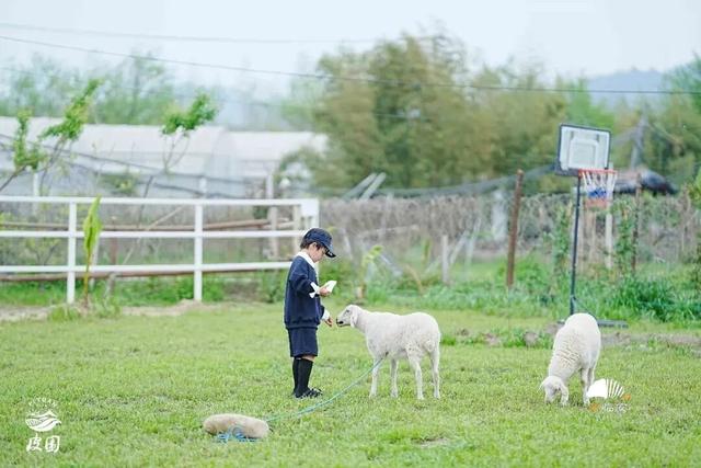 这届春假，临安申请出战！
