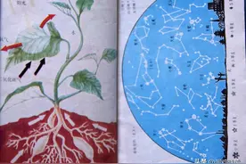 儿时小学的《自然》课本，满足了童年的各种好奇心，真让人难忘！图片