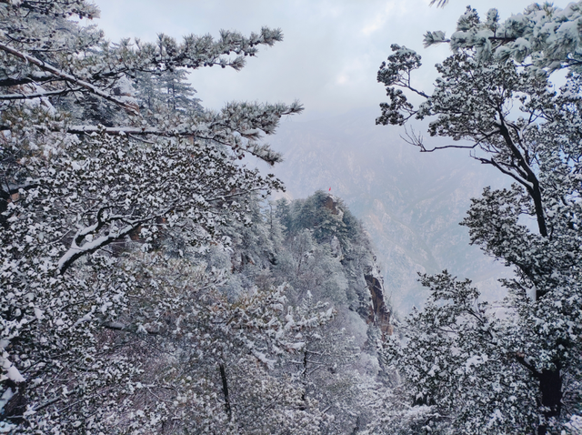 告别秋景，奔赴鸡峰山的第一场雪｜冬日旅行启动