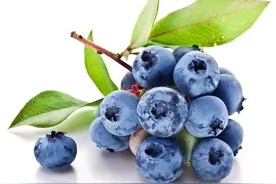 蓝莓吃多吃少都不行，到底吃多少才对？图片