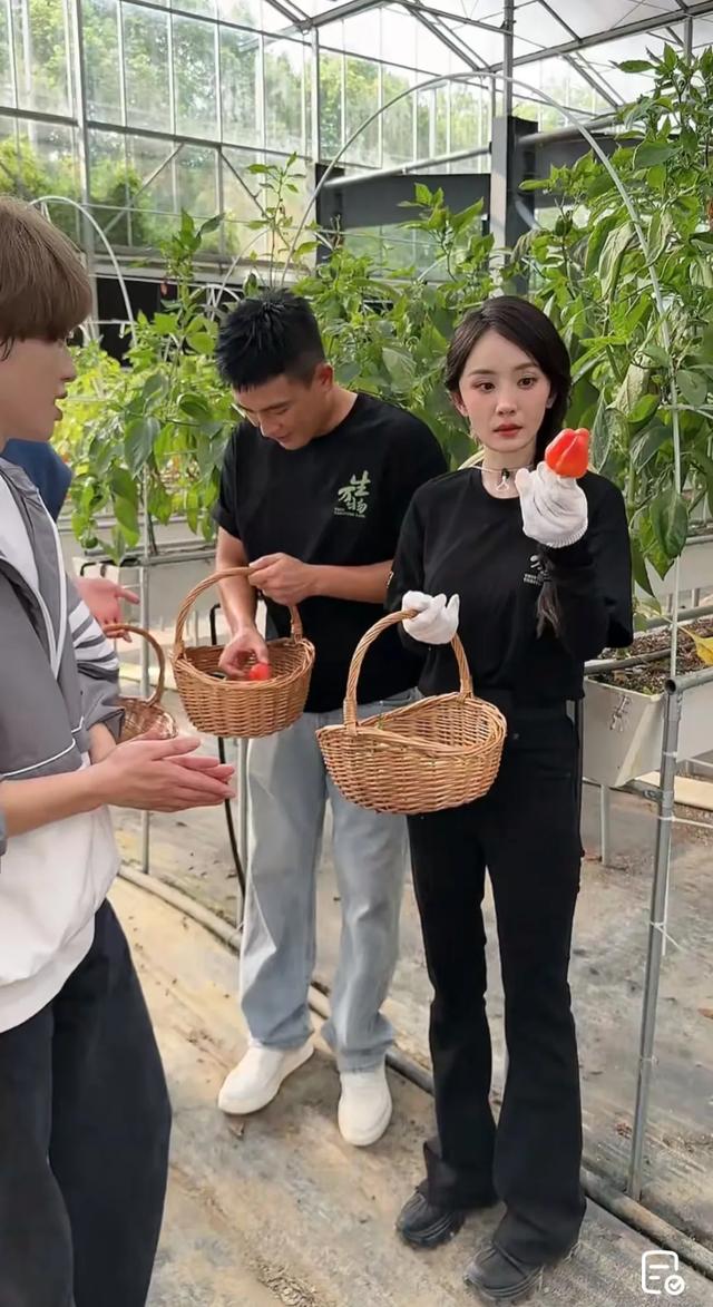 欧豪和杨幂现身菜园子，杨幂打扮好漂亮，欧豪比其他人更像农民