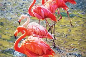 春光正好 去太原动物园踏青与动物相约春天图片