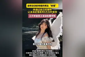 后续：前助理曝沫沫被抓细节，团队连夜解散，每人补偿金额曝光图片