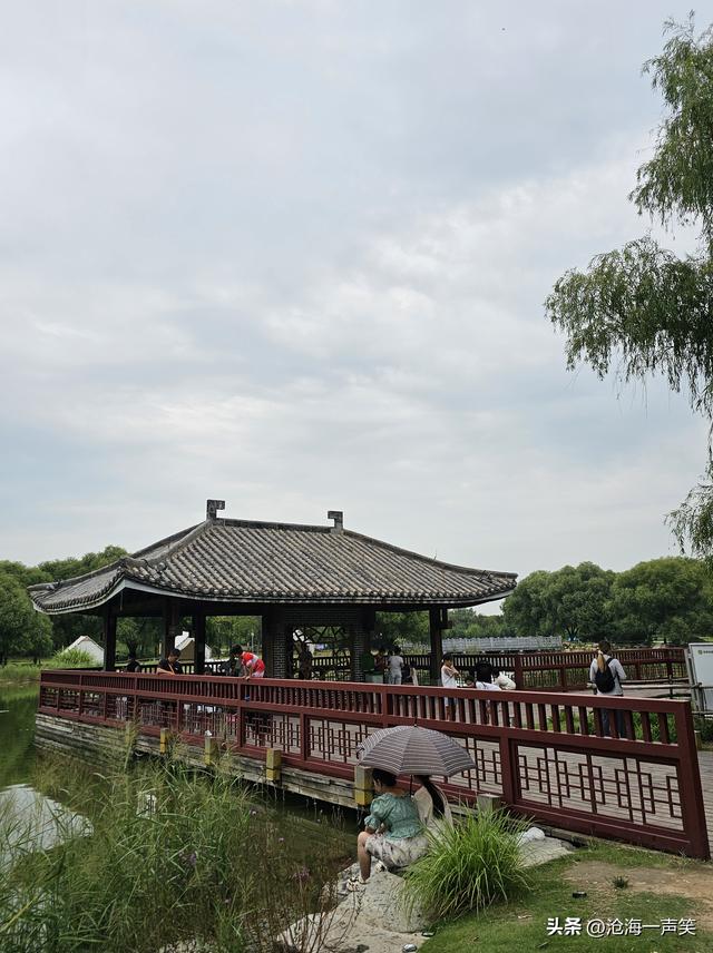 走，一起露营吧，有湖有水有帐篷，有花有景有乐趣