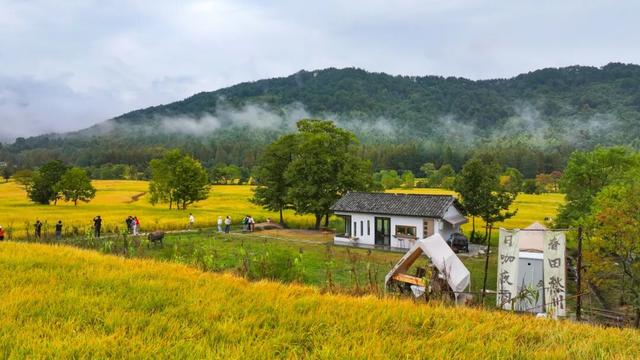 刷屏朋友圈的黟县秋！在这里，慢享“退休式周末”~ | 皖美冬日 | 第十五届安徽国际文化旅游节