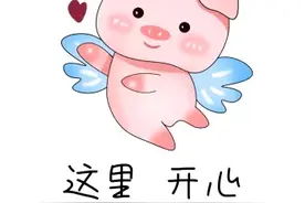 相亲遇到的奇葩男女，令人啼笑皆非，网友：林子大了什么鸟都有！图片