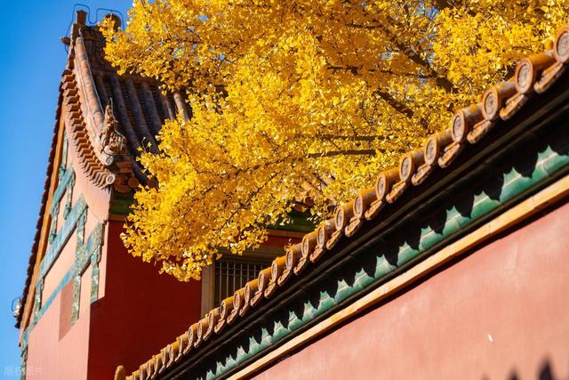 多地秋假热度远超预期