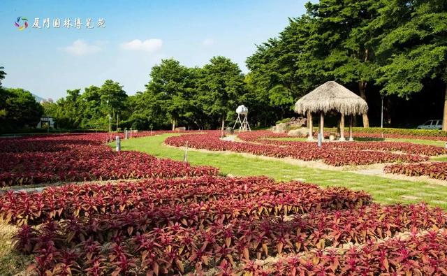 厦门双园盛事！花境艺术×食虫奇观，限时体验指南→