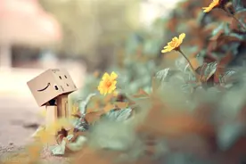 真正的松弛，该是怎样的？图片