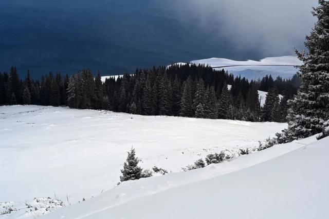 为了这道光，我做了一次疯狂的行动