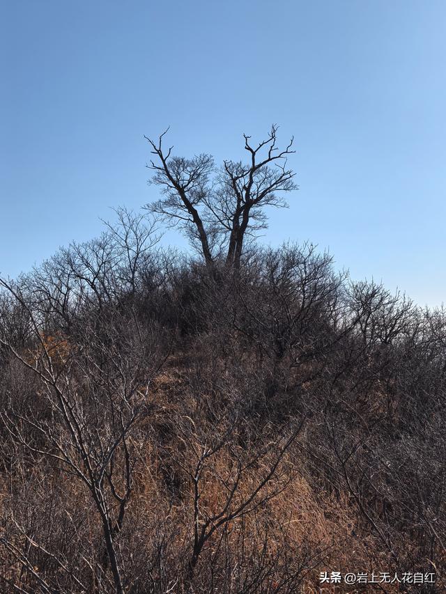 长城徒步之96：赤城上堡村至红泉沟村长城，赏长嵯之落日