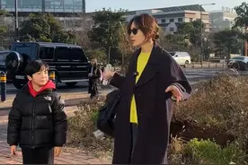 蔡琳一人独居开90万车，接儿子放学，叹：你多学中文将来去找爸爸图片