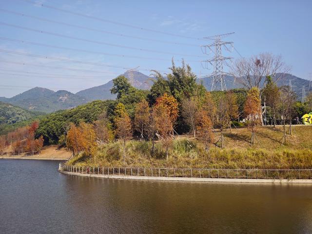 西丽湖绿道骑行随拍