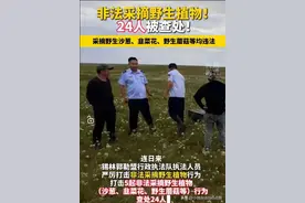 大新闻: 内蒙古24人采野生韭菜花被抓！官方：非法采摘野生植物！图片